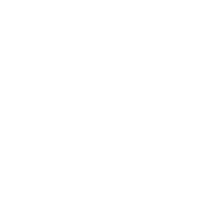 white heart icon